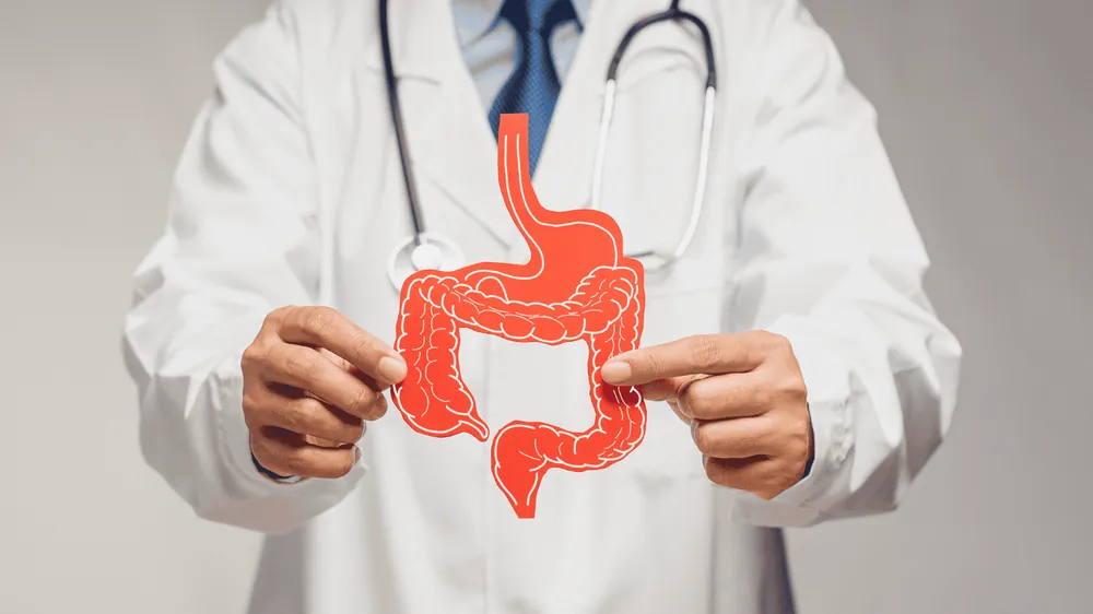 Microbiota e Eixo Intestino-Cérebro: Sua Segunda Mente