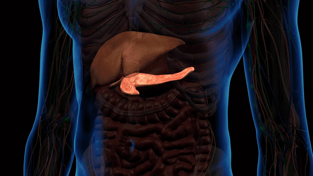 Pancreatite: Causas, Sintomas e Manejo